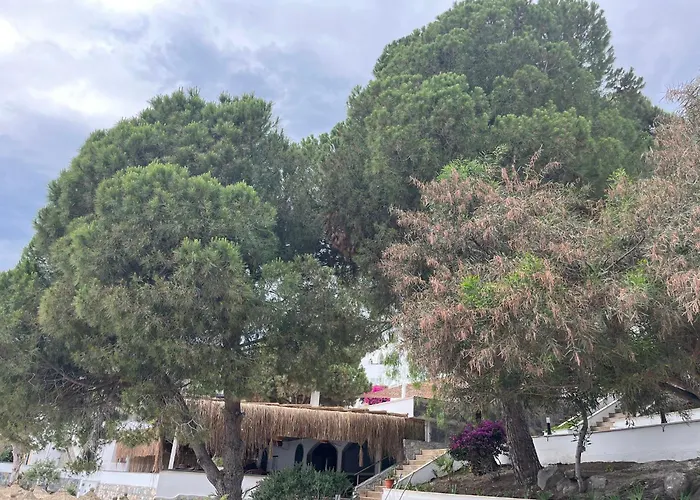 منتجع بودروم باي - الشامل كلياً 5*